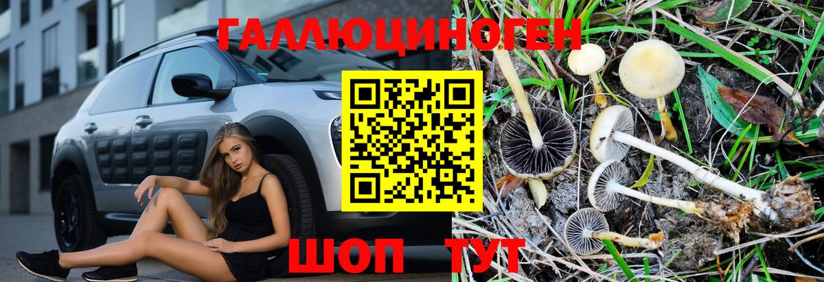Псилоцибиновые грибы мицелий Елец