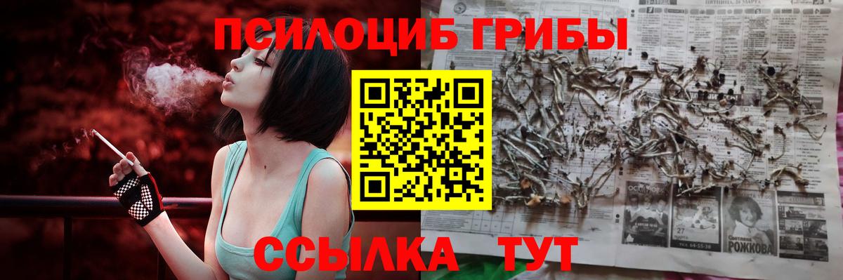 Елец  Галлюциногенные грибы мухоморы  Вход с VPN  магазин  наркотиков  Псилоцибиновые грибы Psilocybe 